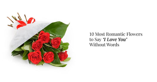 10 Most Romantic Flowers to Say ‘I Love You’ Without Words
