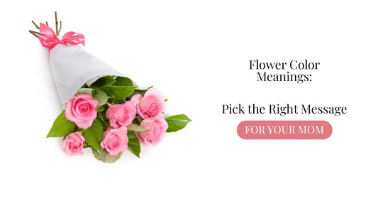 Flower Color Meanings: Pick the Right Message for Your Mom