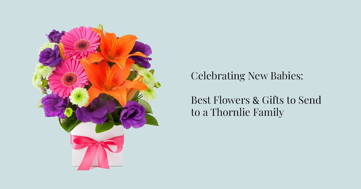 Celebrating New Babies: Best Flowers & Gifts to Send to a Thornlie Family