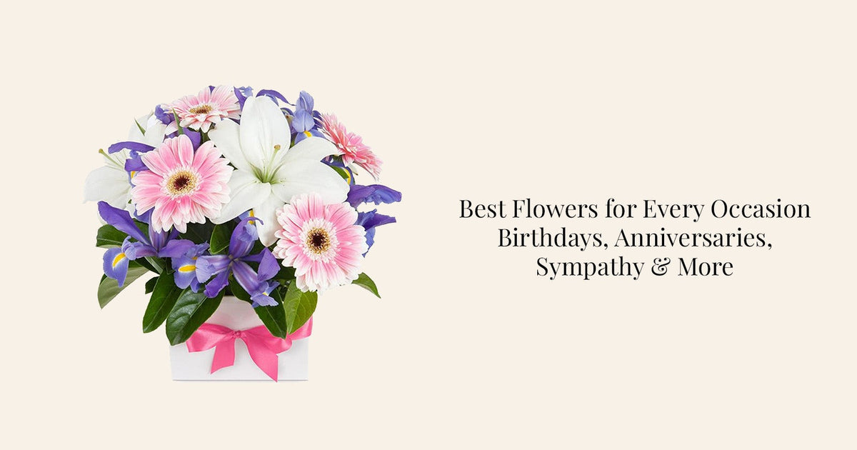 Best Flowers for Every Occasion