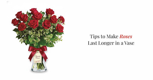 Red Roses 