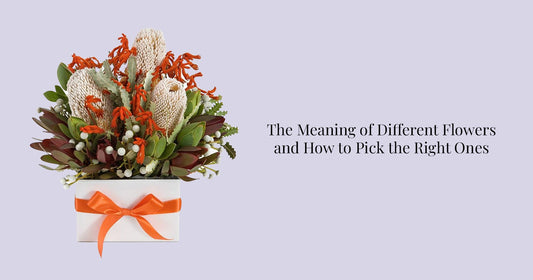 The Meaning of Different Flowers and How to Pick the Right Ones