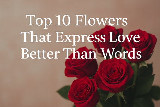 Top 10 Flowers