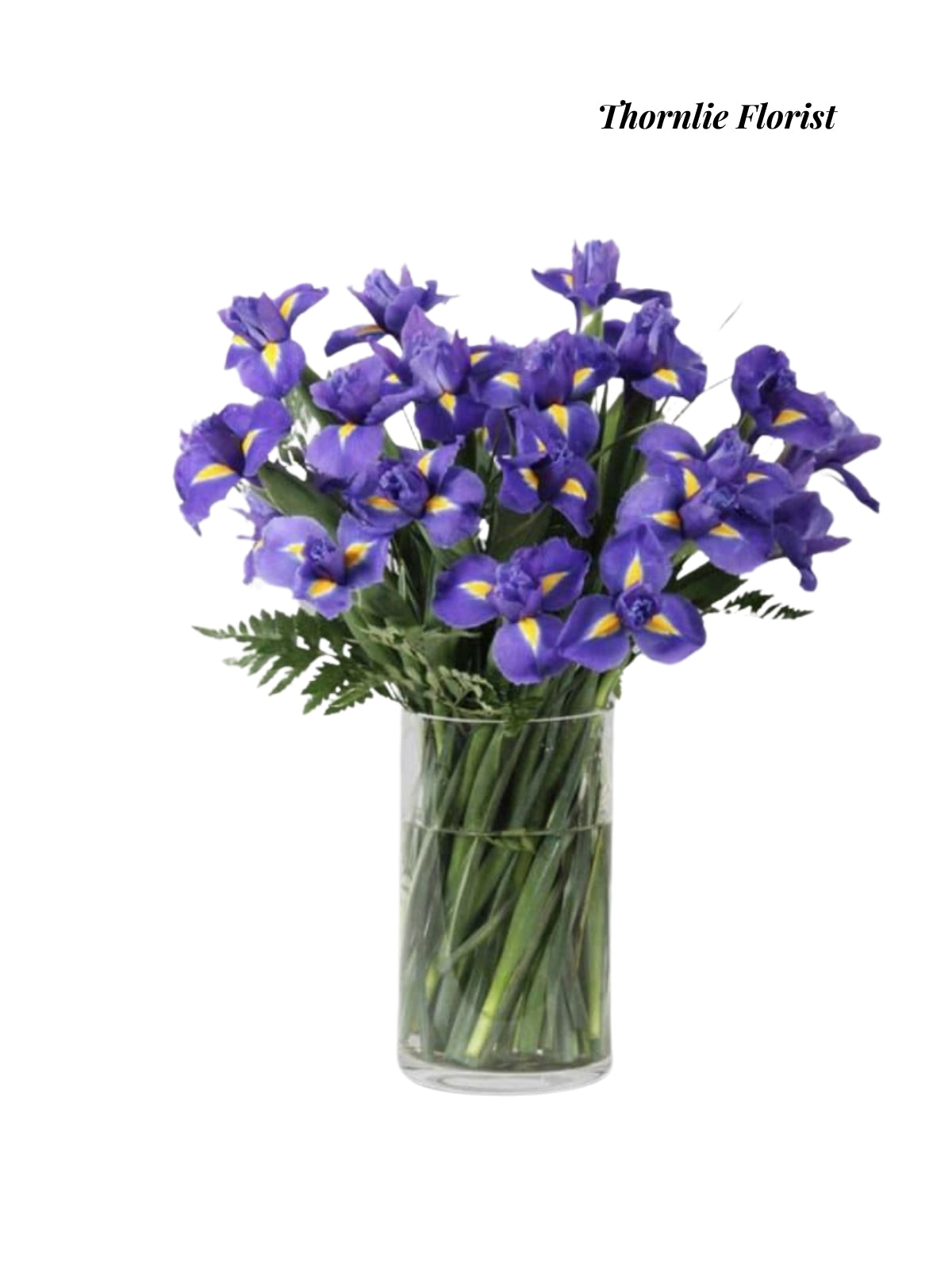 Stunning Blue Iris Vase