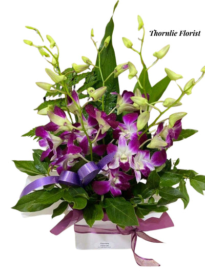 Purple orchid flower arrangement in a white pot with green leaves and a purple ribbon.