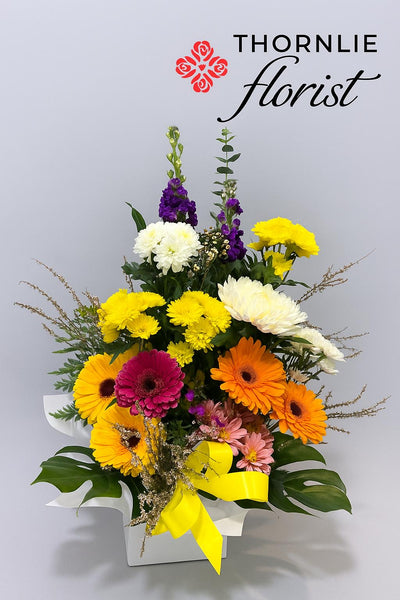 Mixed Gerbera & Chrysanthemum box