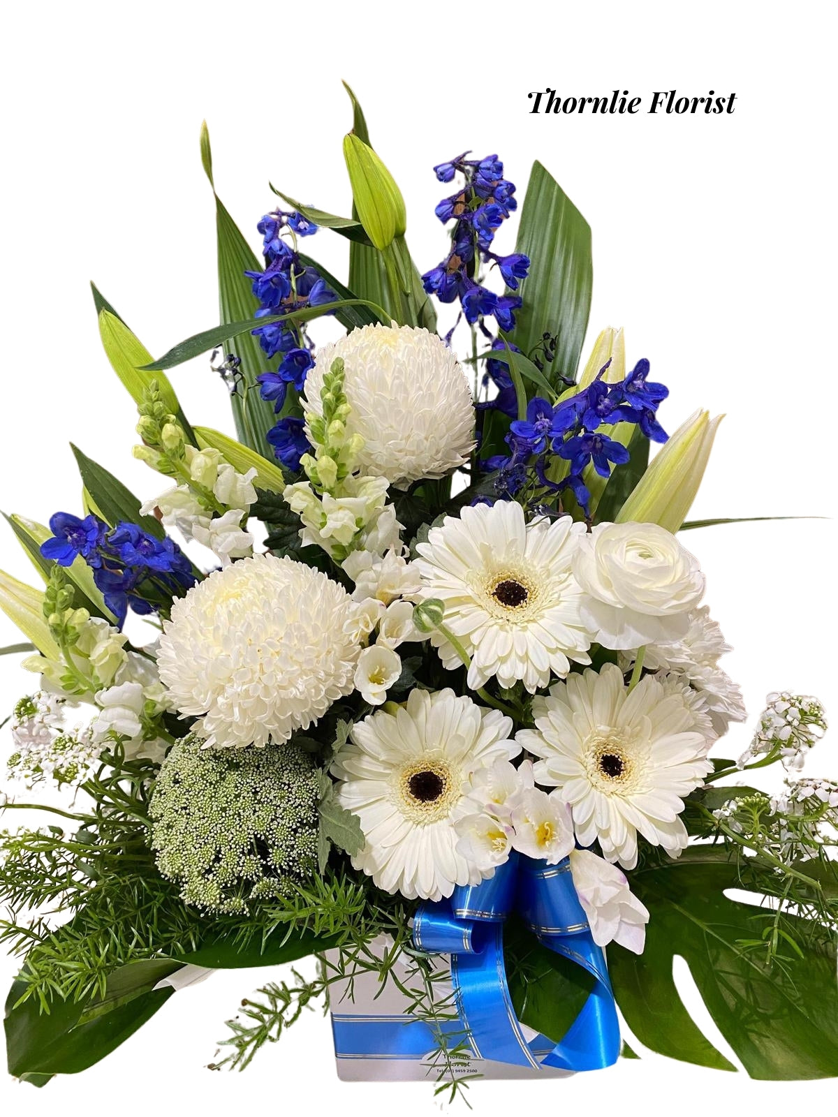 Pure Elegance Floral Box with white gerberas, chrysanthemums, and blue delphiniums.