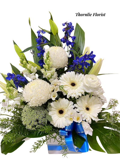 Pure Elegance Floral Box with white gerberas, chrysanthemums, and blue delphiniums.