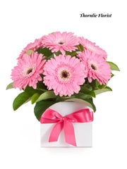 Pink Gerbera Box Arrangement – Fresh Seasonal Blooms