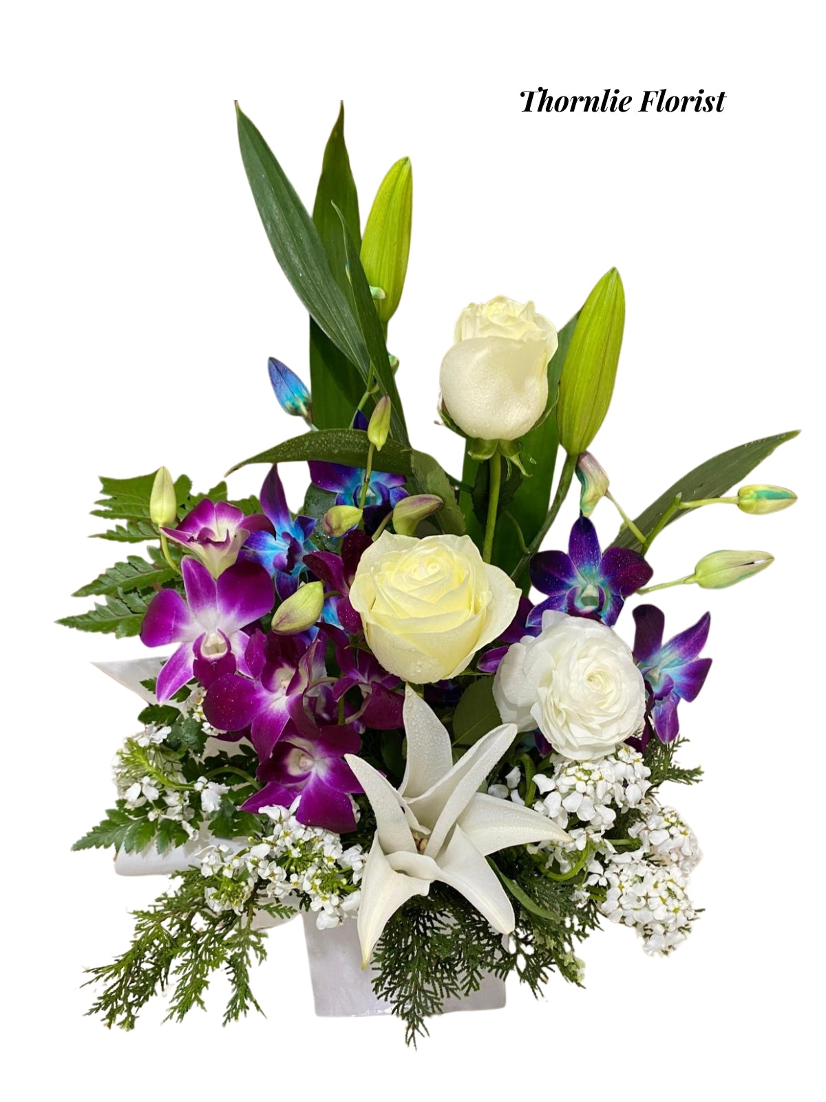 Graceful Blooms floral box featuring white roses and purple orchids by Thornlie Florist