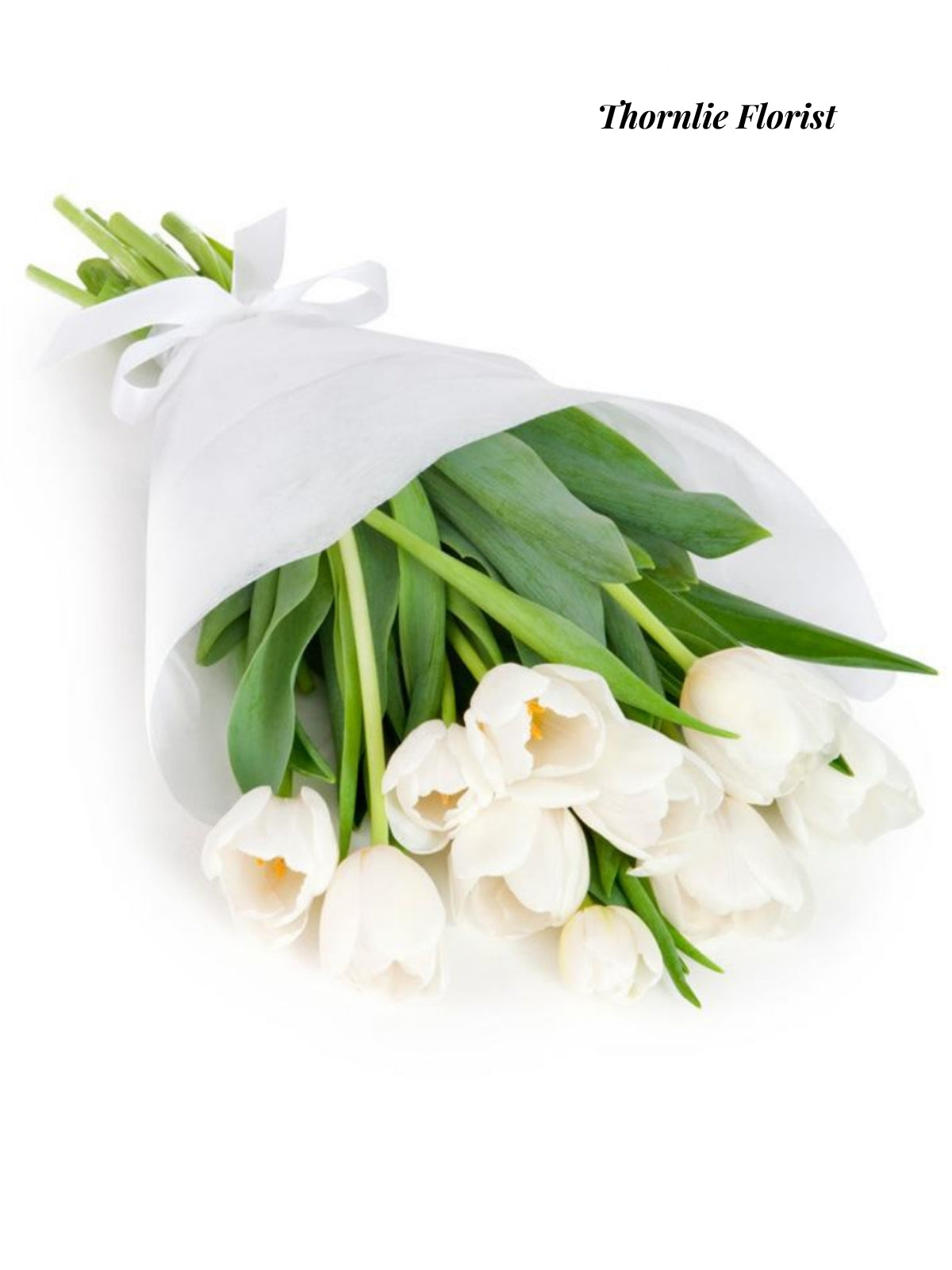 White Tulip Bouquet – Classic & Elegant Blooms