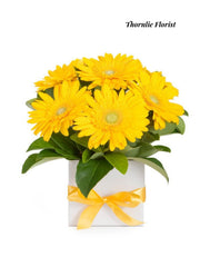 Sunny Yellow Gerbera Box Arrangement – Fresh Seasonal Blooms