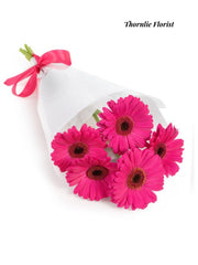 Hot Pink Gerbera Bouquet – Bright & Cheerful Flowers