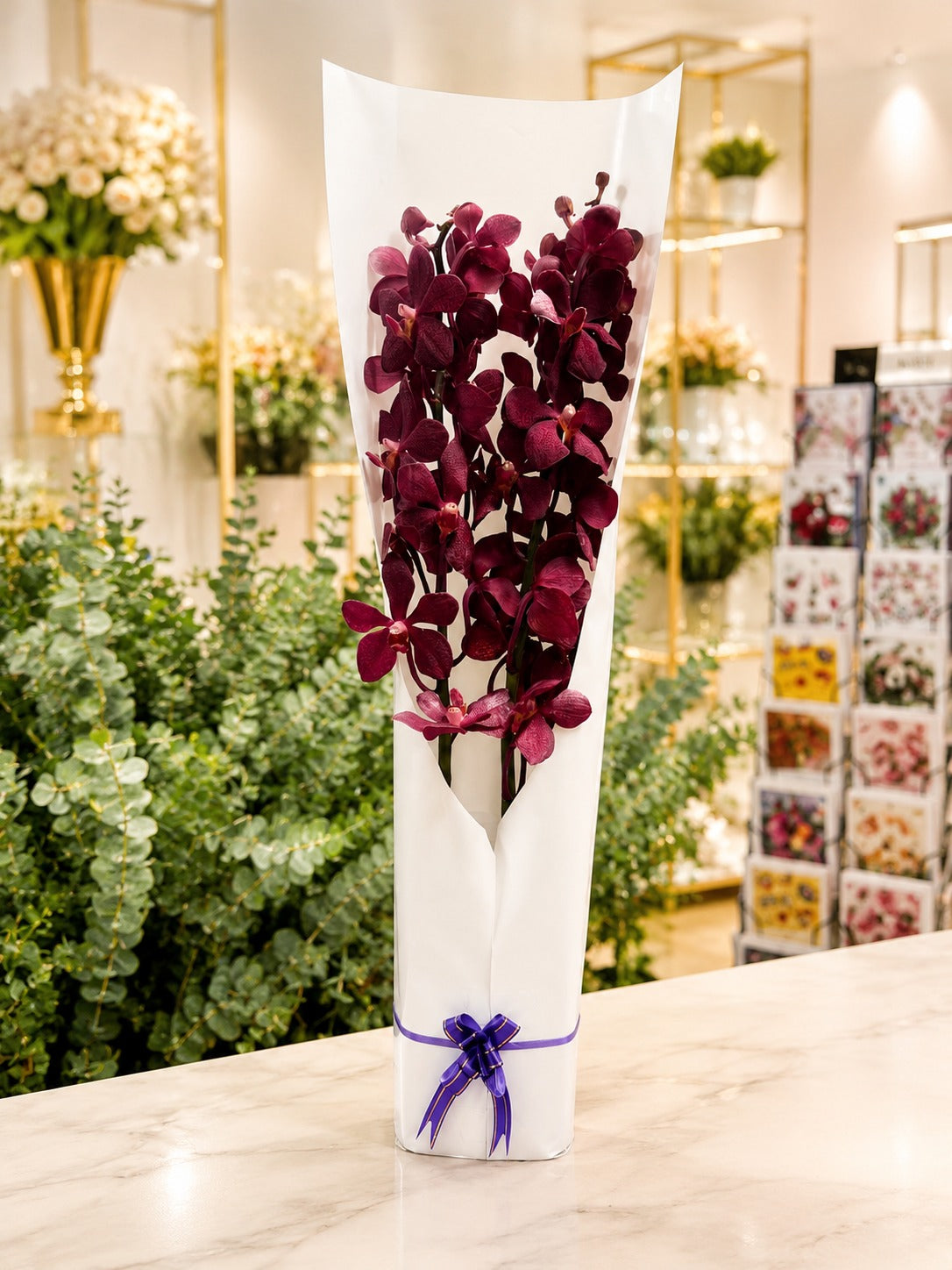 Orchid Arrangement