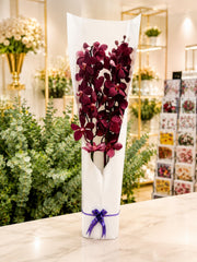 Orchid Arrangement