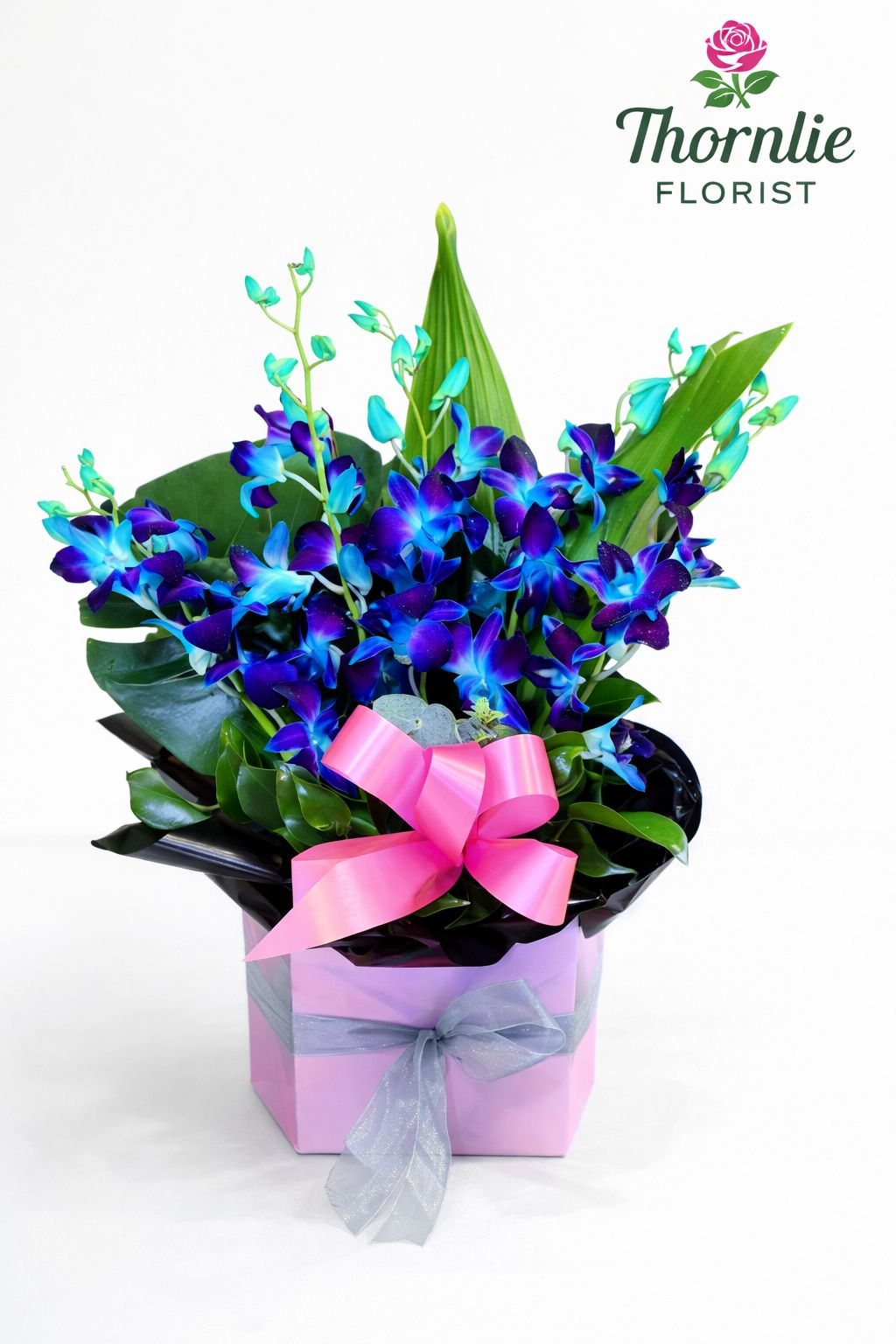 Blue Orchids Box Arrangement